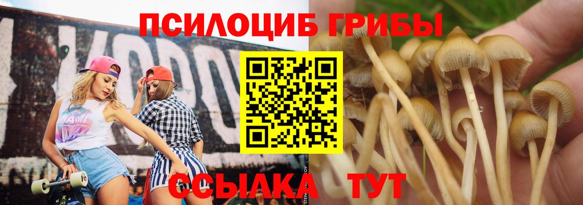 Псилоцибиновые грибы Psilocybe  купить наркотик  Донецк  Вход с VPN 